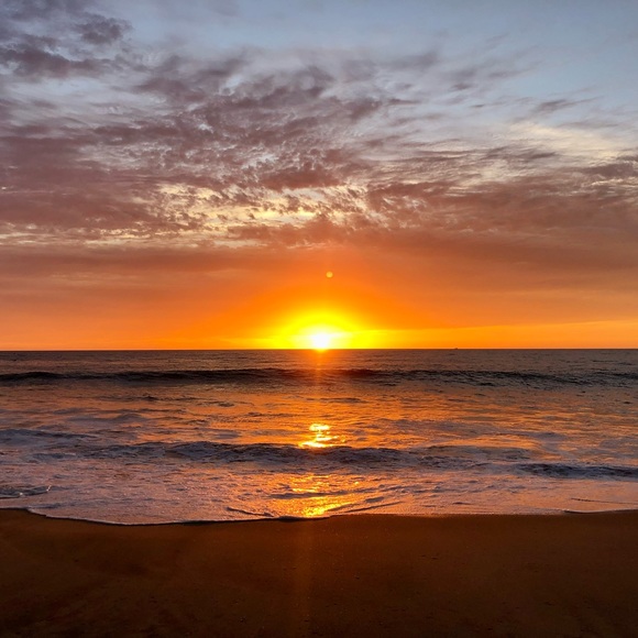 Meet your Posher, Alessia - Picture 1 of 2